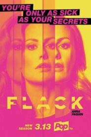 Flack: Season 2