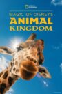 Magic of Disney’s Animal Kingdom – Ο μαγικός κόσμος των ζώων
