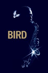Bird – Μπερντ