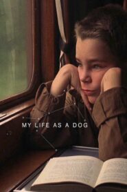 My Life as a Dog – Σαν αδέσποτο σκυλι