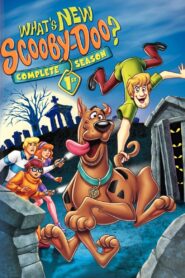 What’s New, Scooby-Doo?: Season 1