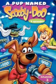 A Pup Named Scooby-Doo: Season 3