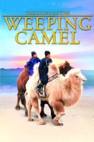 The Story of the Weeping Camel – Η ιστορία της καμήλας που δάκρυσε