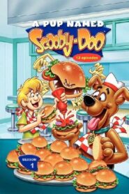 A Pup Named Scooby-Doo: Season 1