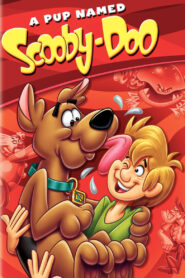 A Pup Named Scooby-Doo – Ένας σκύλος που τον έλεγαν Σκούμπυ Ντου