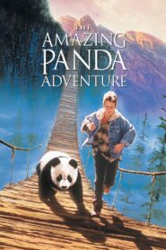 The Amazing Panda Adventure – Παρέα με ένα πάντα