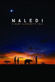 Naledi: A Baby Elephant’s Tale