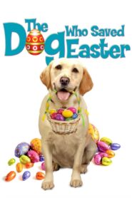 The Dog Who Saved Easter –  Σκύλος που Έσωσε το Πάσχα