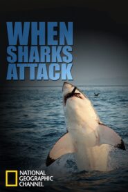 When Sharks Attack: Season 1