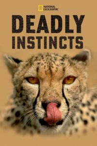 Deadly Instincts: Season 1