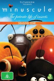 Minuscule: The Private Life of Insects: Season 1