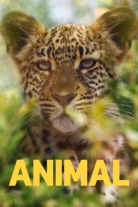 Animal: Season 2