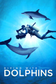 Diving with Dolphins – Καταδύσεις με δελφίνια