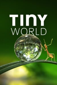 Tiny World: Season 1