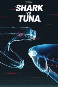 Shark vs. Tuna – Καρχαρίας Εναντίον Τόνου