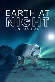 Earth at Night in Color – Πολύχρωμες νύχτες της Γης