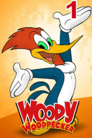 The New Woody Woodpecker Show: Season 1