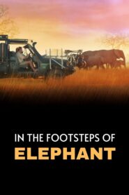 In the Footsteps of Elephant – Στα Χνάρια του Ελέφαντα