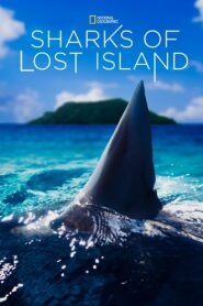 Sharks of Lost Island – Καρχαρίες στα Νησιά Πίτκερν