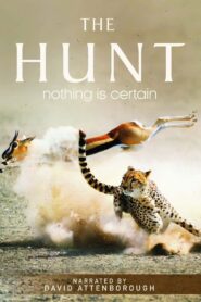 The Hunt: Season 1