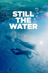 Still the Water – Ένα βράδυ με πανσέληνο