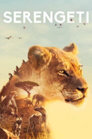Serengeti: Season 1