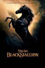 Young Black Stallion – Το Νεαρό Μαύρο Άλογο