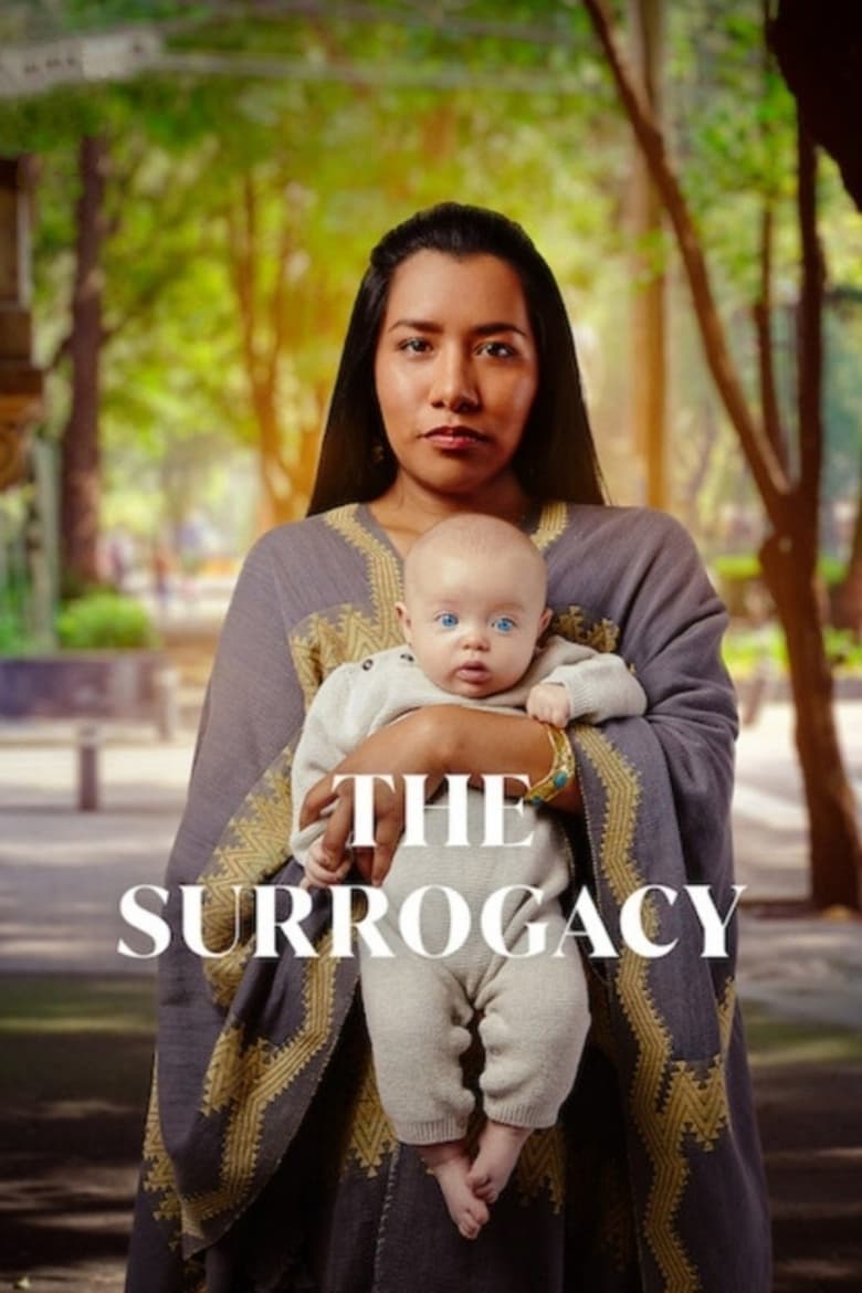 The Surrogacy: Season 1