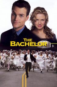 The Bachelor – Αμετανόητος εργένης