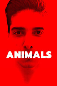 Animals – Κτήνη