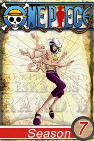 One Piece: Season 7