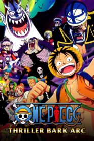 One Piece: Season 10
