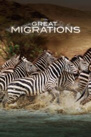 Great Migrations – Μεγάλες Μεταναστεύσεις