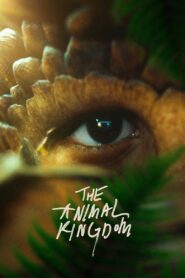 The Animal Kingdom – Το ζωικό βασίλειο