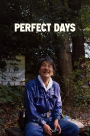 Perfect Days – Yπέροχες Μέρες