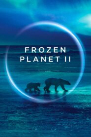 Frozen Planet II: Season 1