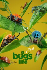 A Real Bug’s Life – Ζουζούνια από Κοντά