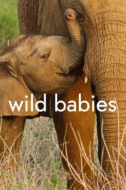 Wild Babies – Μωρά της Άγριας Φύσης
