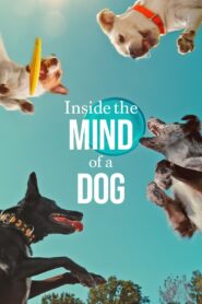 Inside the Mind of a Dog – Στο Μυαλό ενός Σκύλου