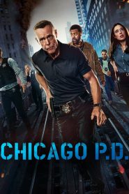 Chicago P.D.: Season 12