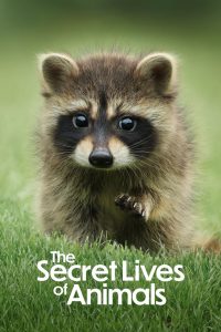 The Secret Lives of Animals – Η Μυστική Ζωή των Ζώων