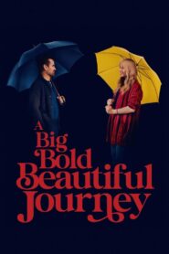 A Big Bold Beautiful Journey – Ένα μεγάλο όμορφο τολμηρό ταξίδι